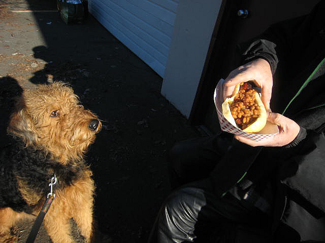 Dog_hotdog_beer_fest_portland